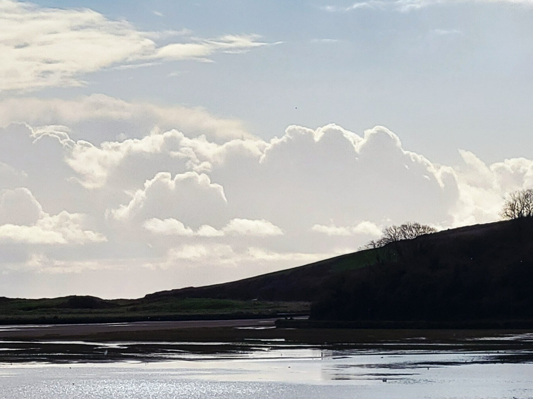 Celtic Ross Hotel主图