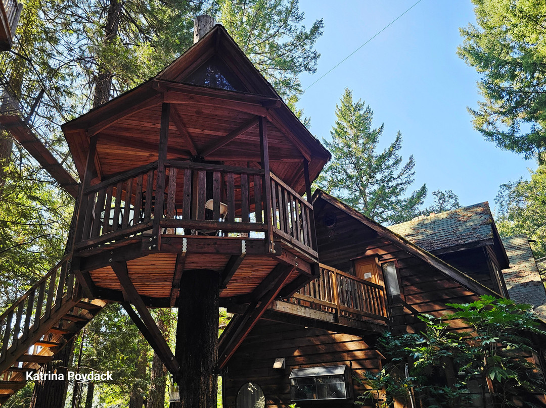 Out'n'About Treehouse-凯夫章克申必去景点