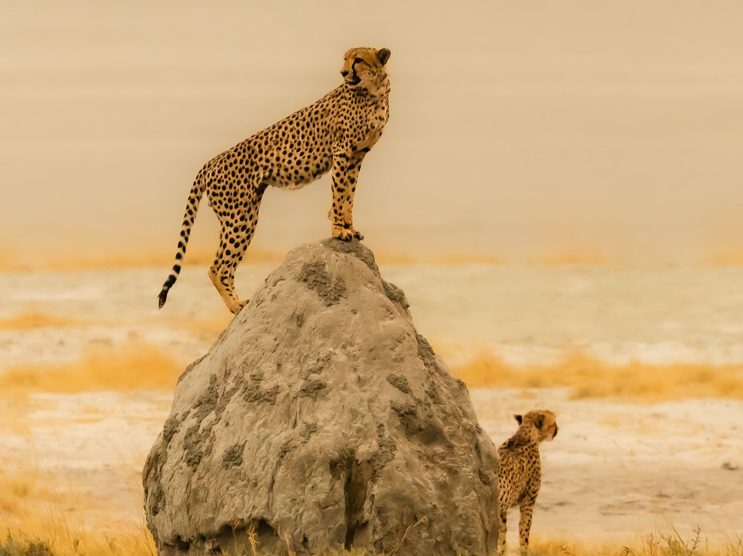 Ratpanat Luxury & Adventure-瓦拉杜利德必去景点