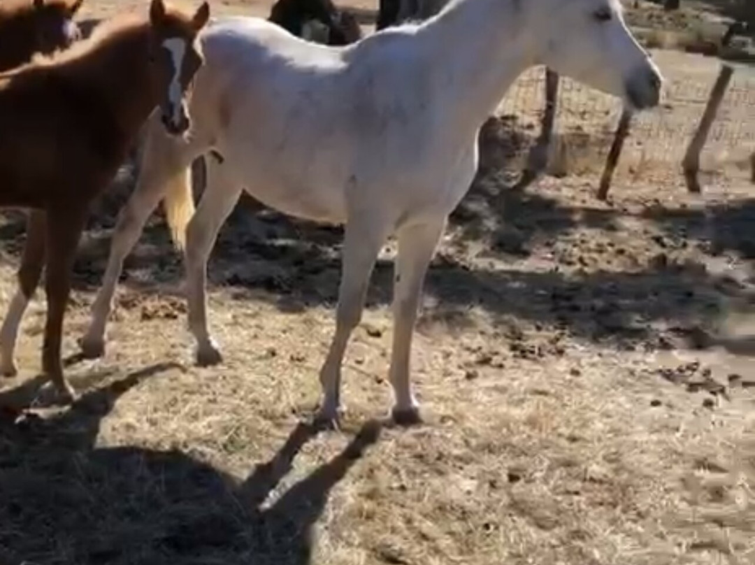 Aprende de Toros-塞维利亚必去景点