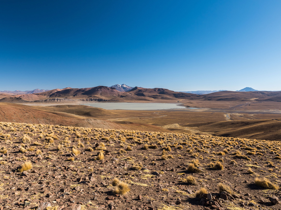 La Torre Tours-Tupiza必去景点