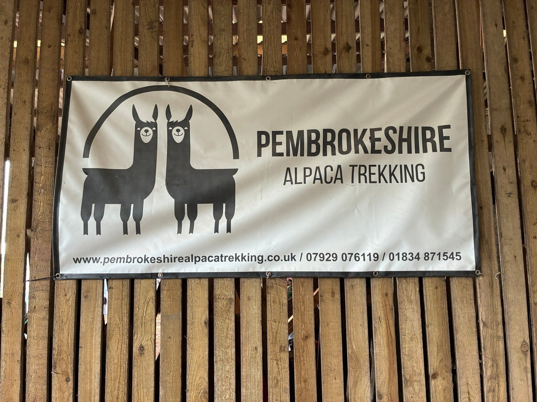 Pembrokeshire Alpaca Trekking-腾比必去景点