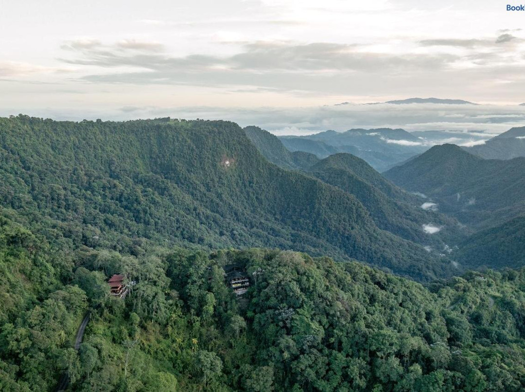Gualea酒店住宿-Bellavista Cloud Forest Lodge