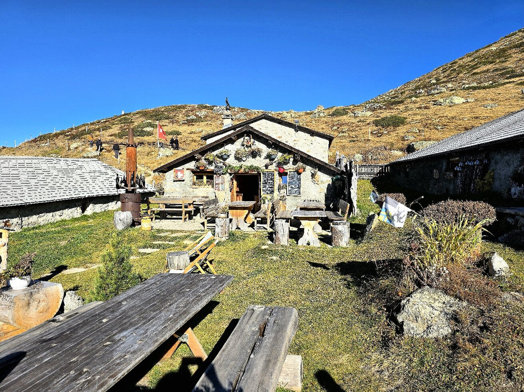 Höhenweg Muottas Muragl . Alp Languard-Pontresina必去景点