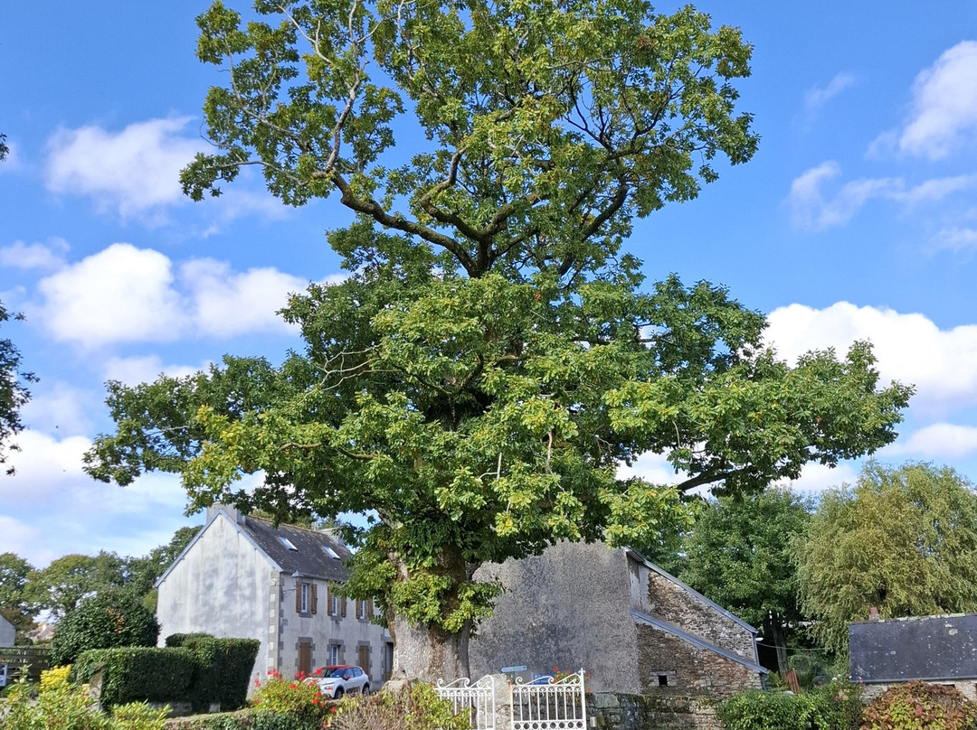 Église Notre-Dame-de-la-Bonne-Nouvelle-Poullaouen必去景点