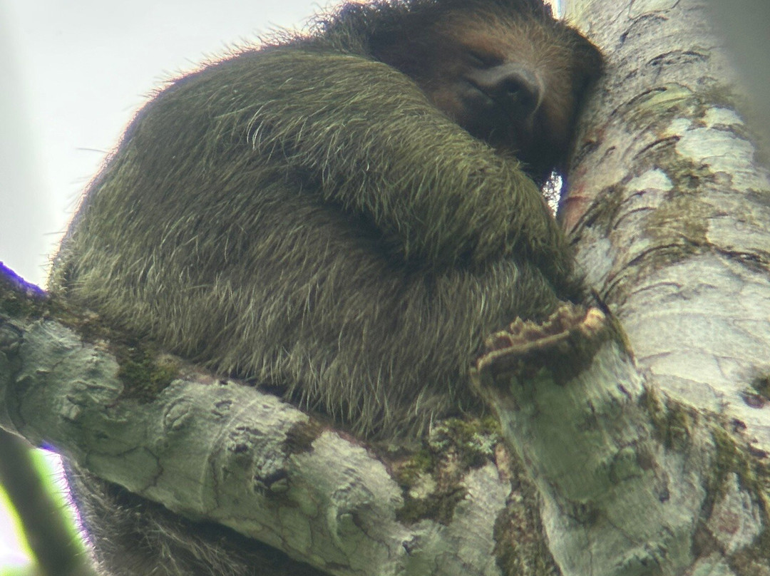 Costa Rica Dream Adventures-San Jose必去景点