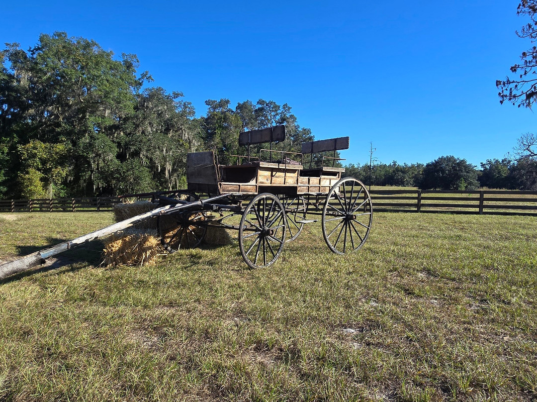 Lilsa Lodge Hunts-Chiefland必去景点