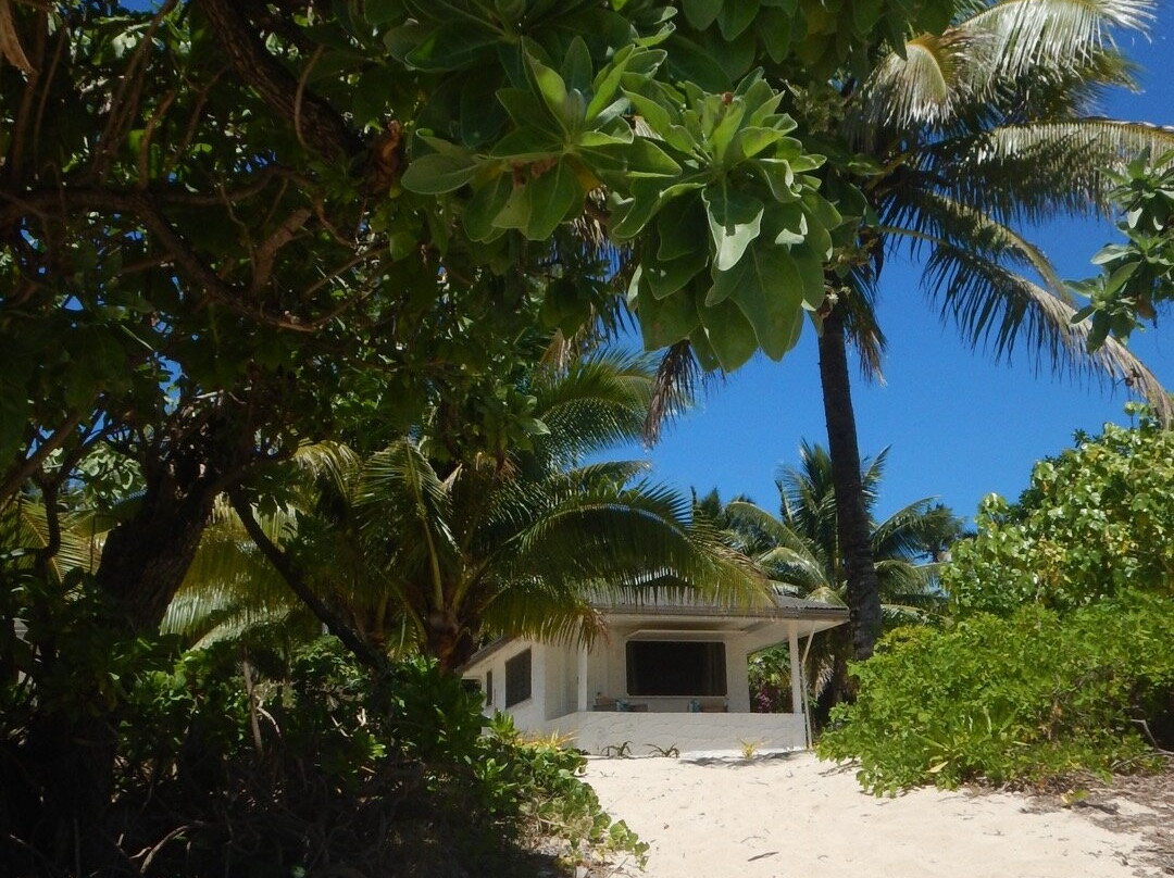 Majestic Whale Encounters-Foa Island必去景点
