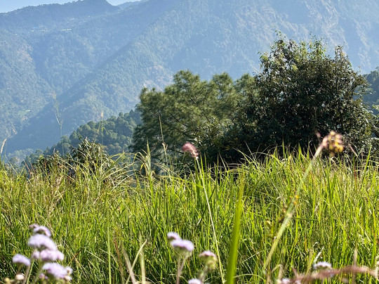 Juniper Bed & Breakfast主图