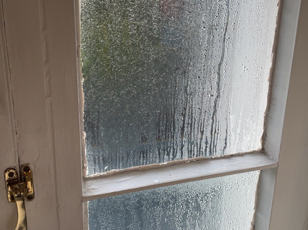 力推怀特住宿酒店主图