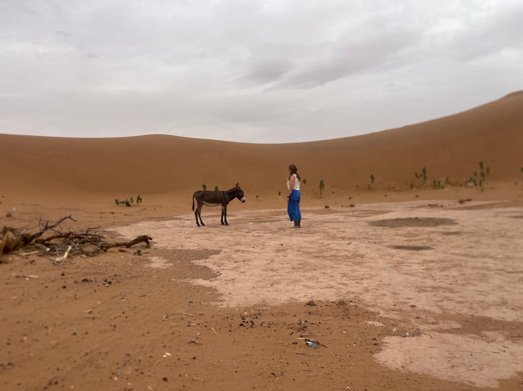 Sahara Wonders-迈哈米德必去景点