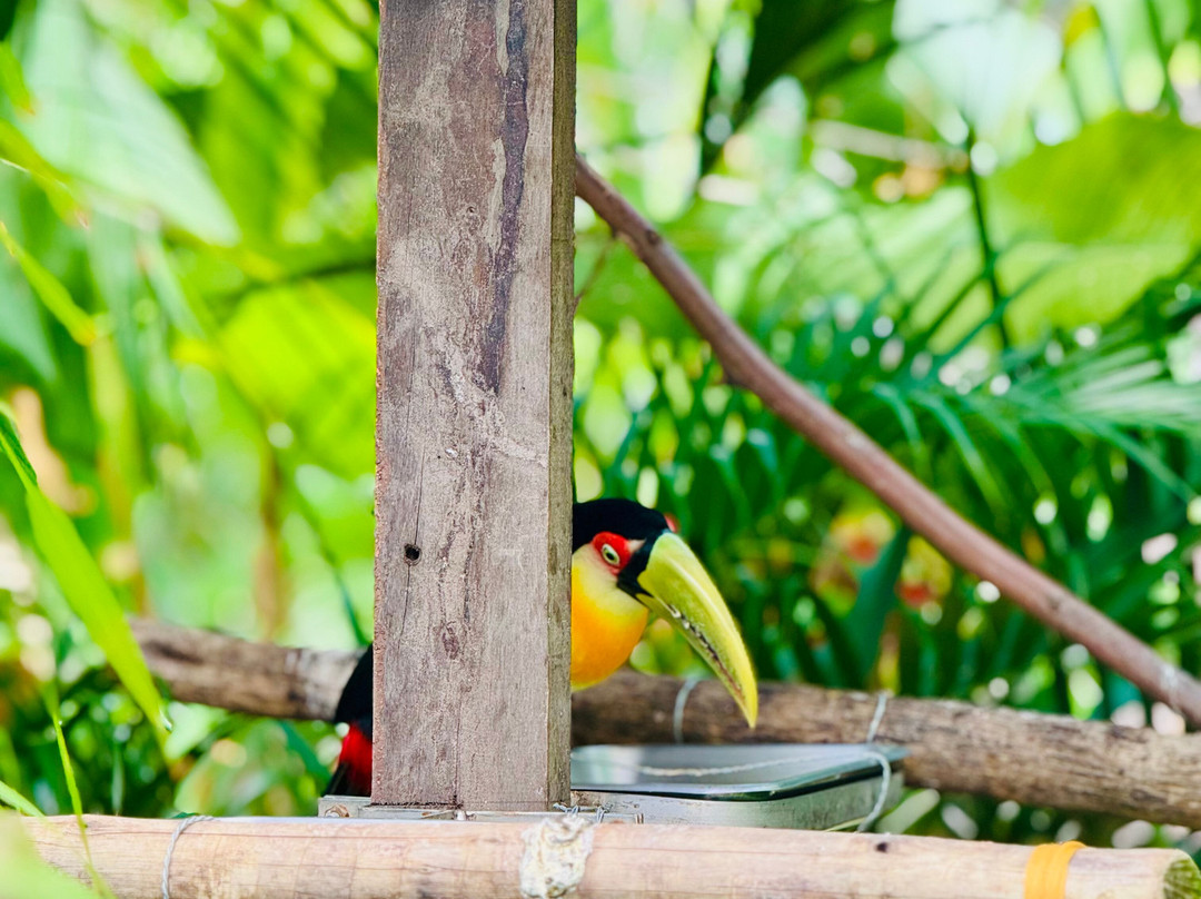 Parque Arvorar-Aquiraz必去景点