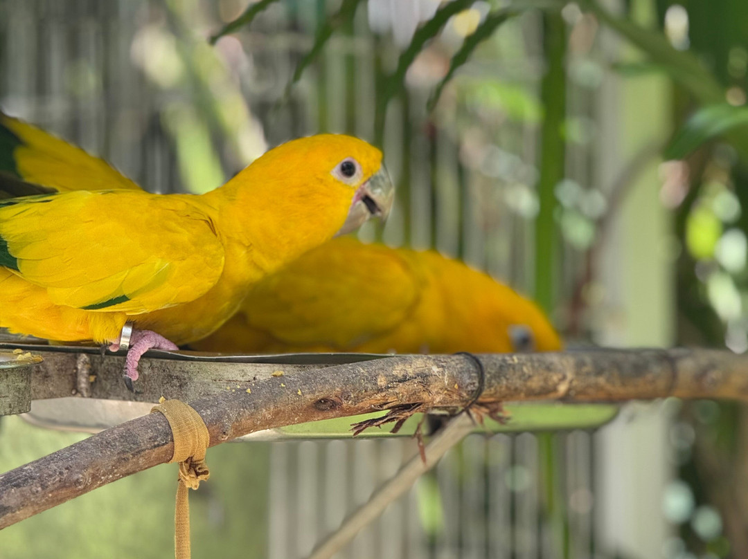 Parque Arvorar-Aquiraz必去景点