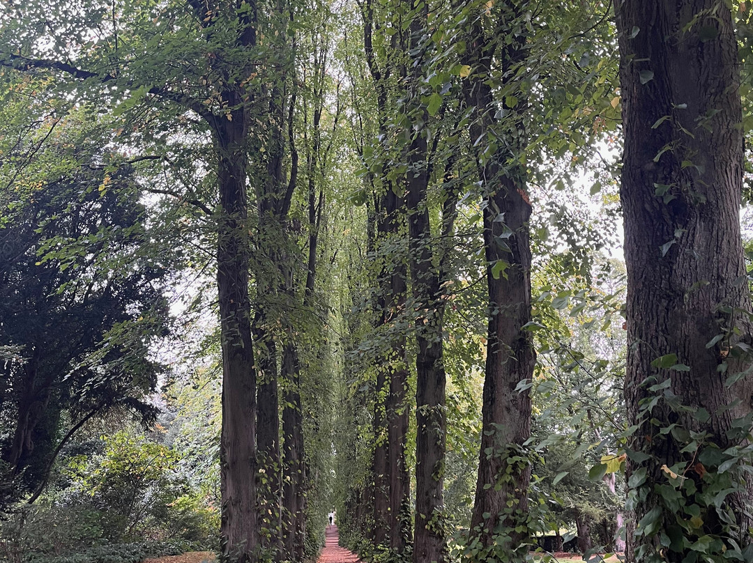 Wentworth Castle Gardens-巴恩斯利必去景点