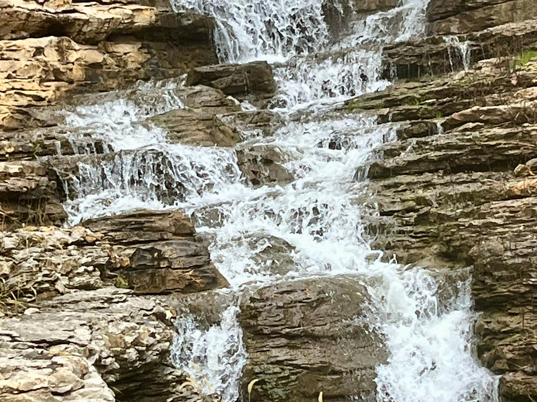 Dogwood Canyon Nature Park-Lampe必去景点