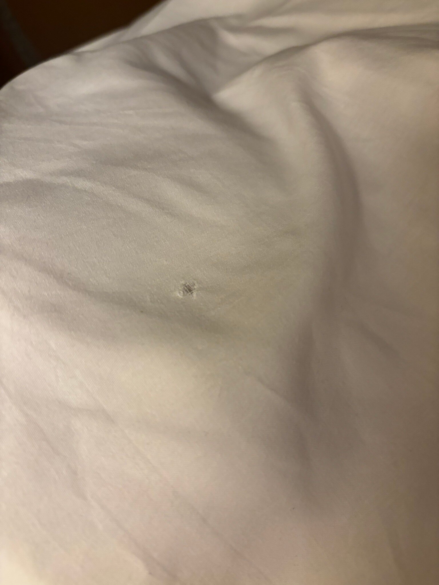 高球海岸维基酒店-官方