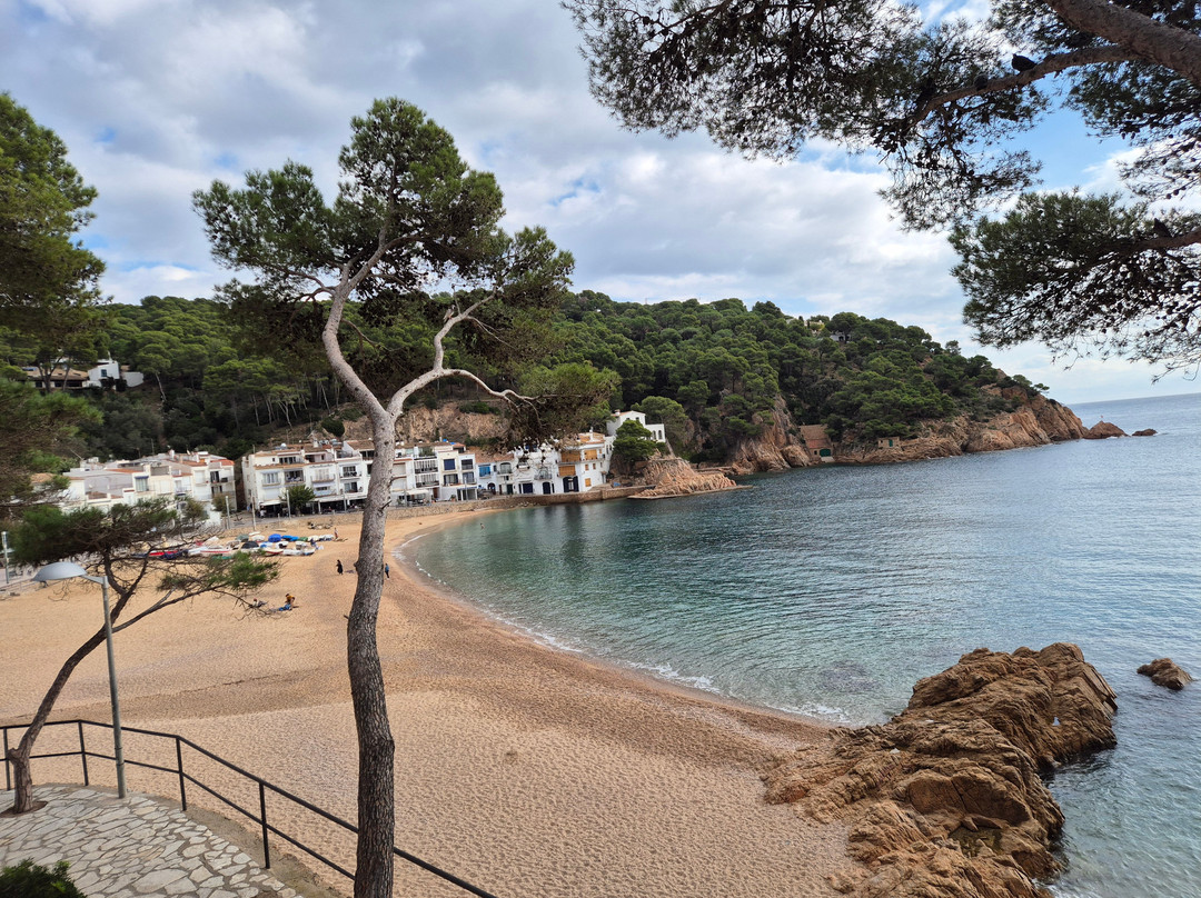 豪斯达里罗酒店主图