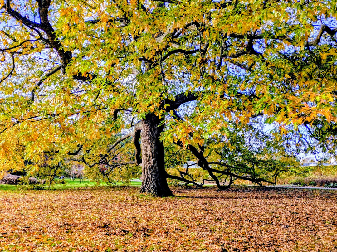 Harris Garden-雷丁必去景点