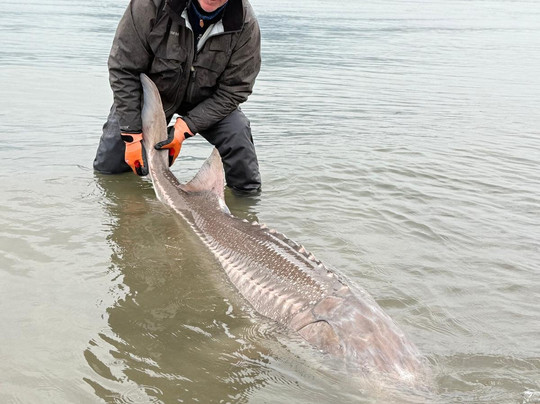 Bluewater Rockies Sportfish Guiding Co.-奇利瓦克必去景点