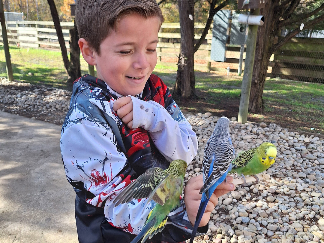 Metro Richmond Zoo-Moseley必去景点