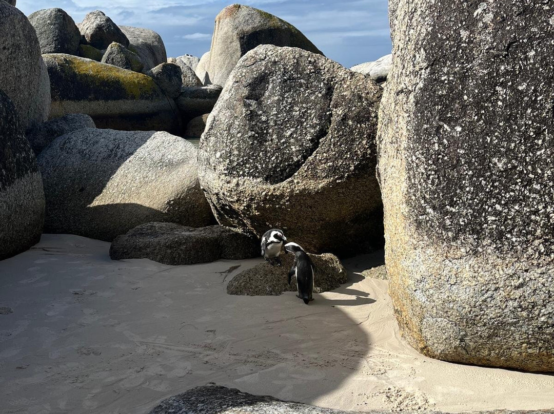 Unpaved Africa by SL-Green Point必去景点