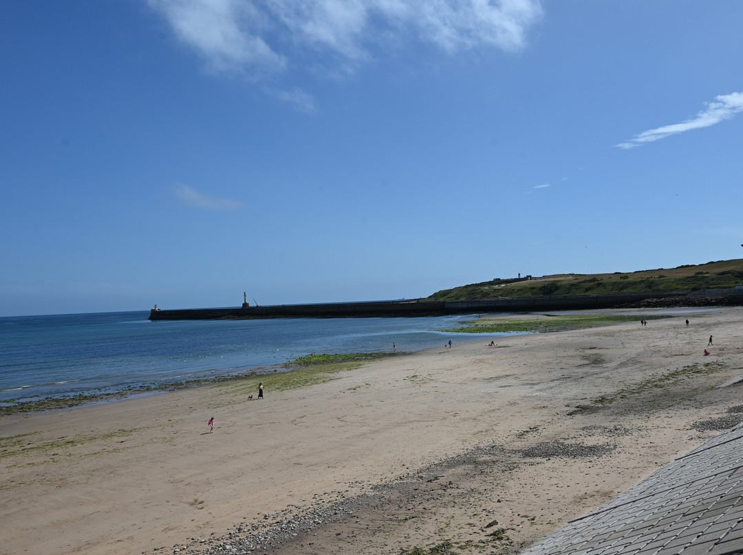 City Beach-阿伯丁必去景点