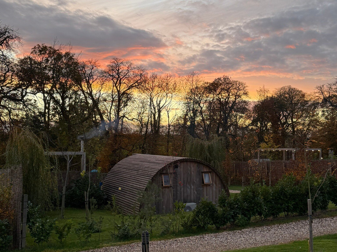 Wimbish Hall Cabins