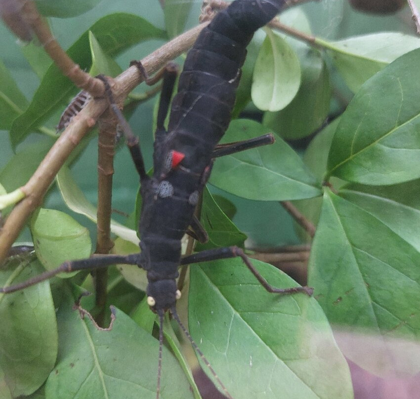 Bugtopia Hornsea Zoo-Hornsea必去景点