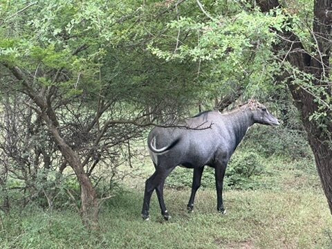 D.K. Car and Driver India-阿格拉必去景点