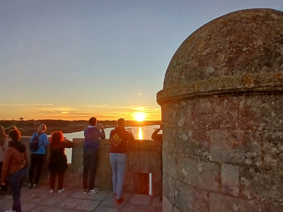 Tour Carbonniere-艾格莫尔特必去景点