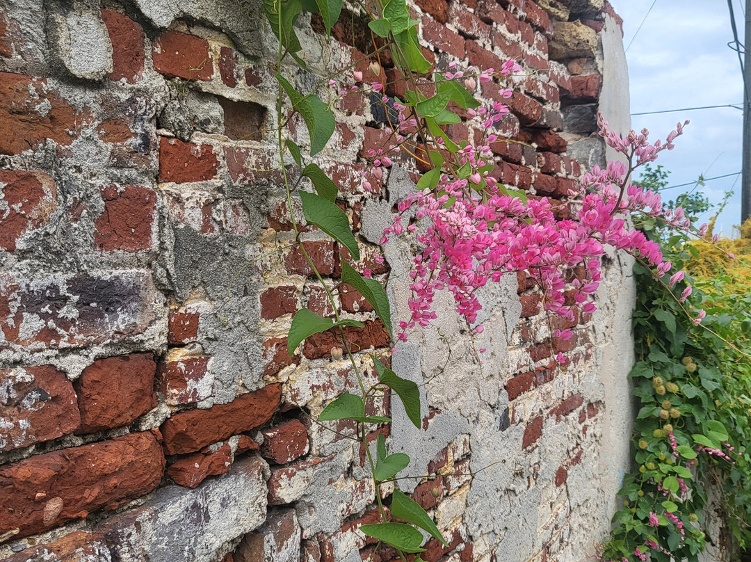 Christiansted Market-圣克鲁斯必去景点