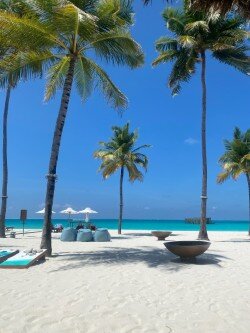 Sirru Fen Fushi - Private Lagoon Resort-泳池