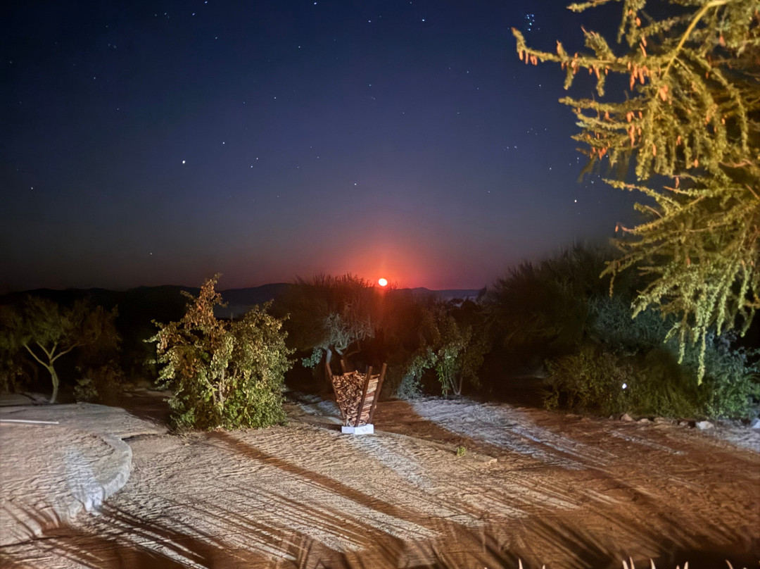 Rancho Cacachilas-El Sargento必去景点