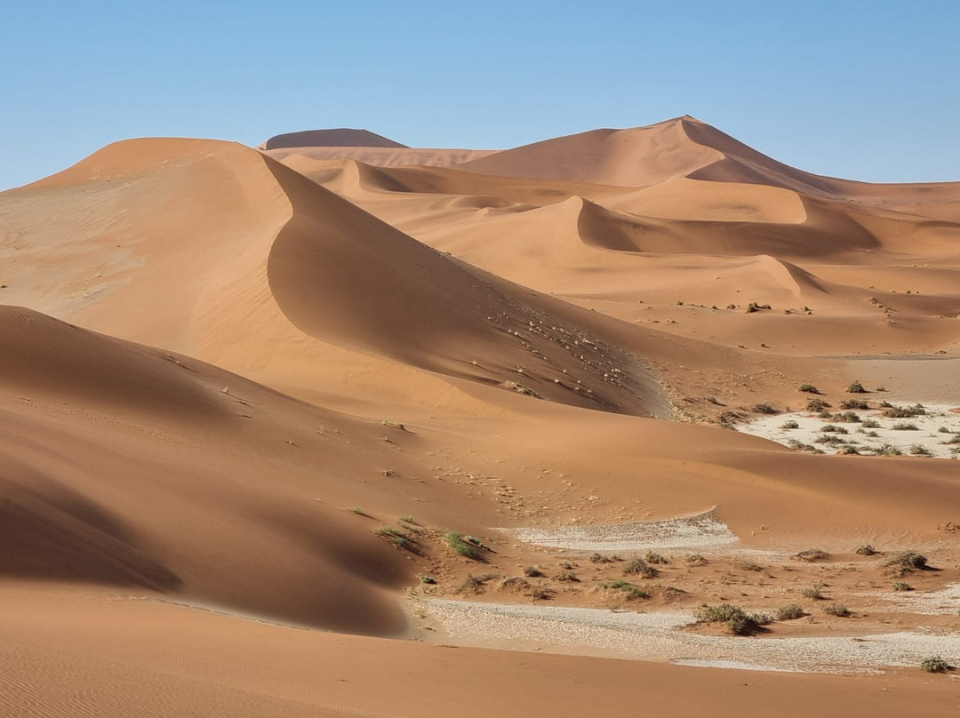 Kiboko Adventures-开普敦中心区必去景点