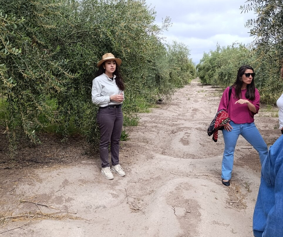 Olivicola Maguay-Maipu必去景点