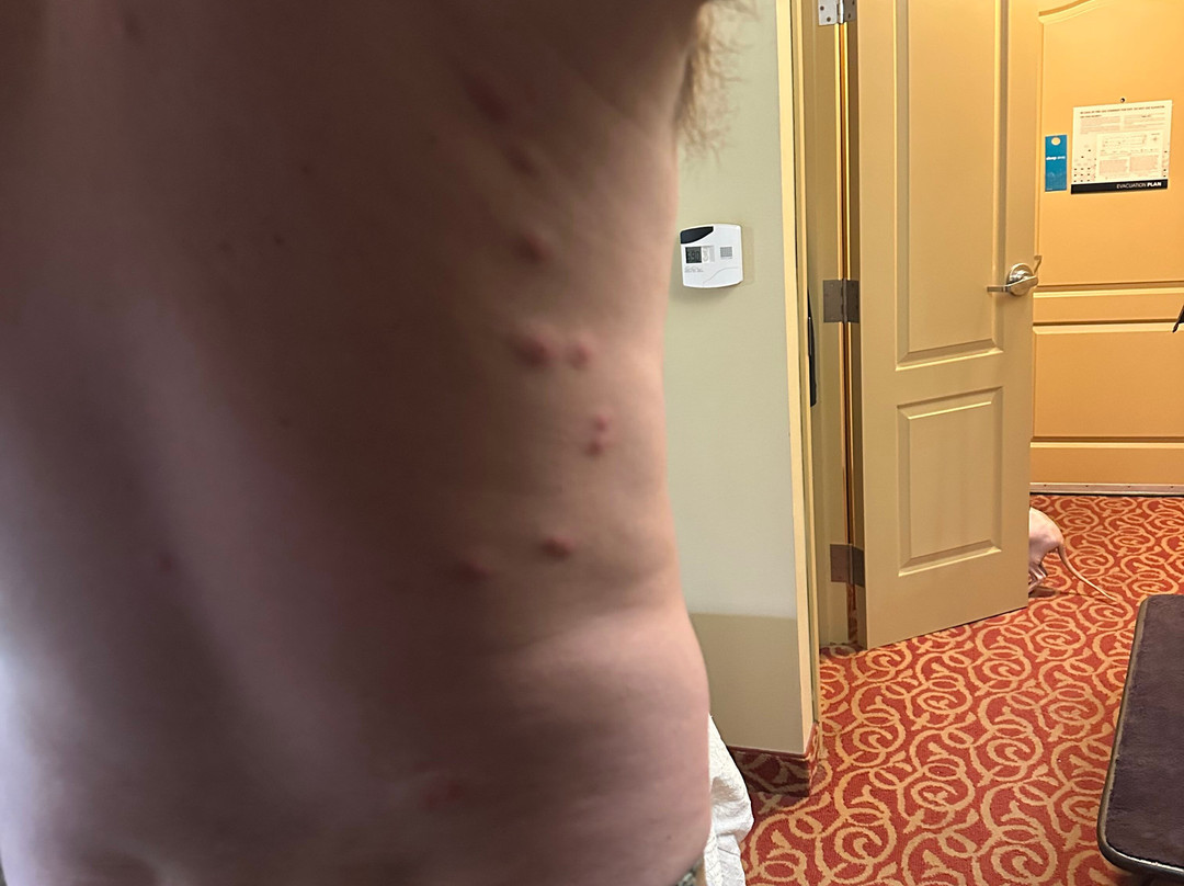 Hampton Inn Lincoln主图