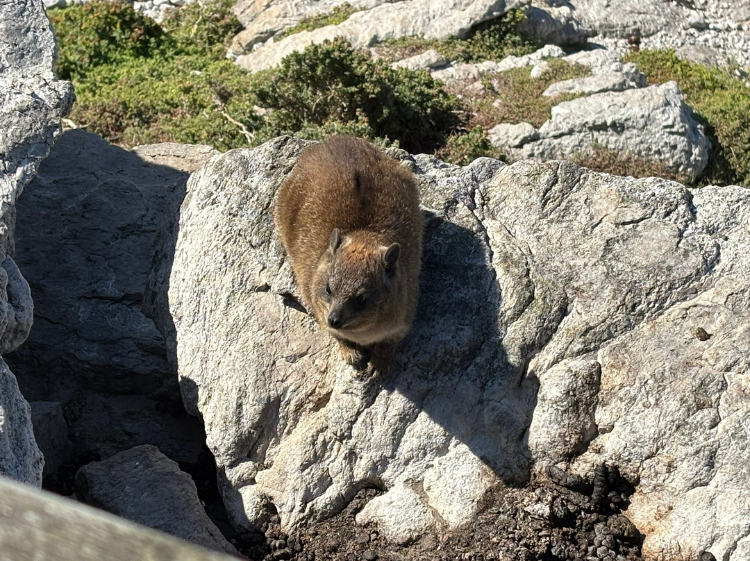 Kleinmond Beach-小月必去景点