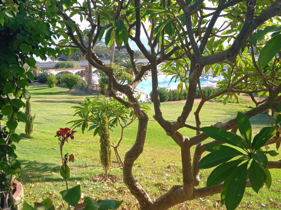 Denizkizi Hotel主图