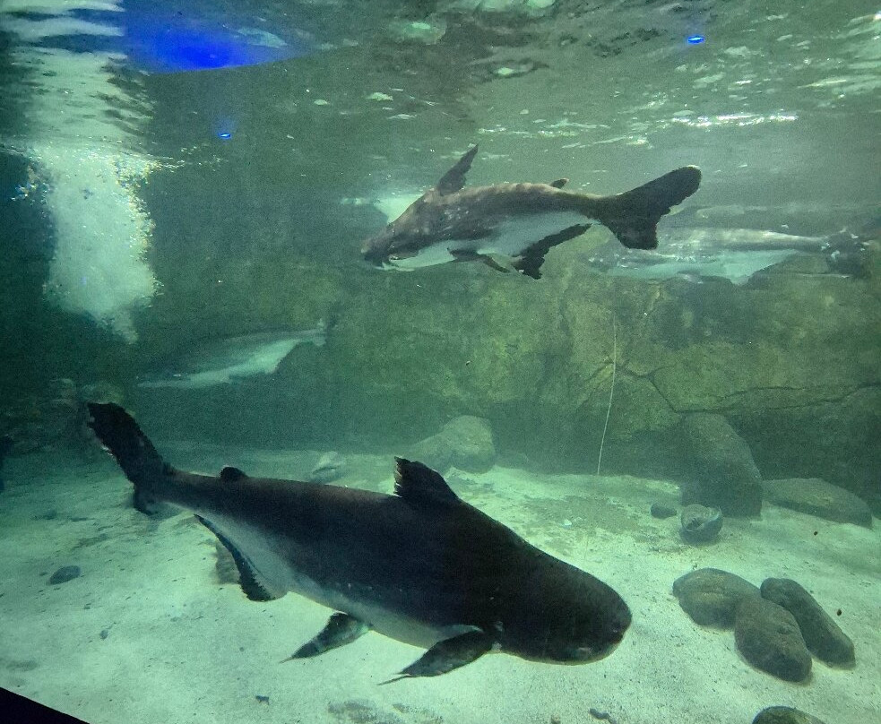 Gaziantep Zoo-加济安泰普必去景点