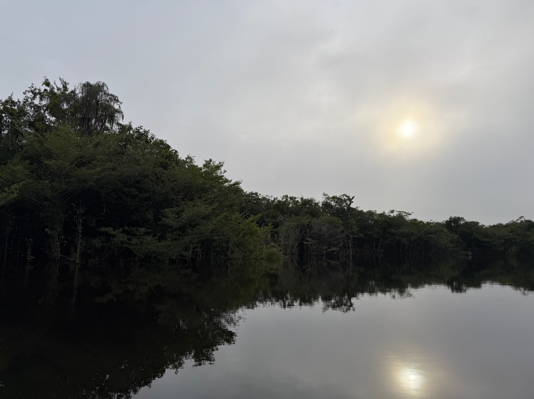Nomadic Waters Brazil-玛瑙斯必去景点
