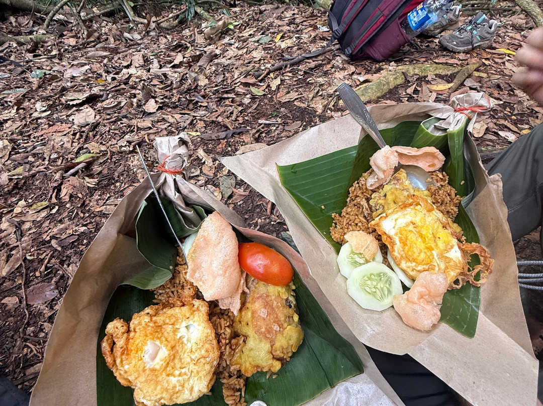 Sumatra Orangutan Trip-武吉拉旺必去景点