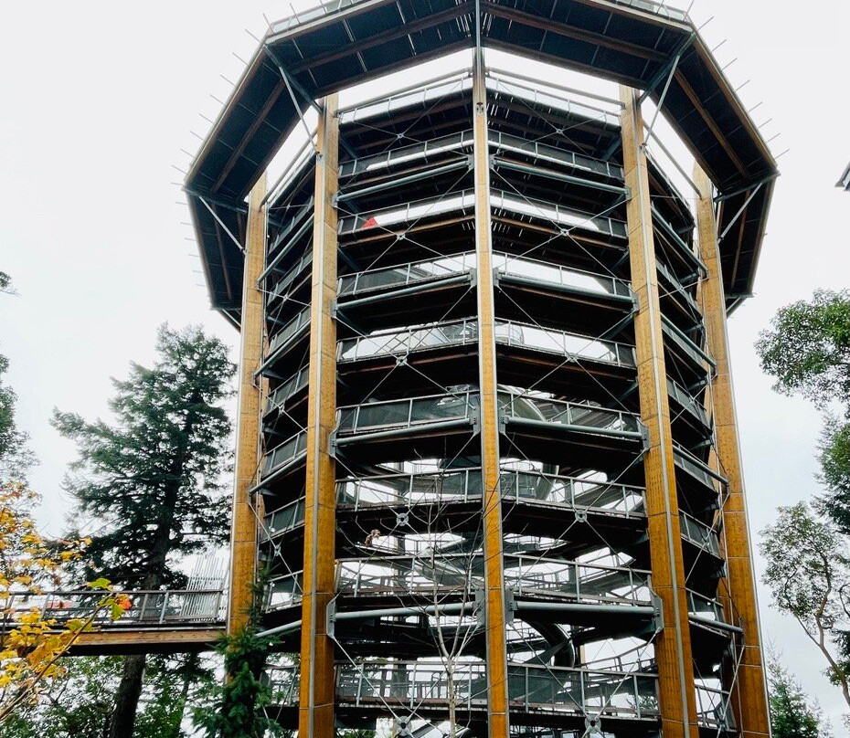 Malahat Skywalk-Malahat必去景点