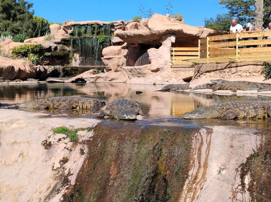 Crocoparc-阿加迪尔必去景点