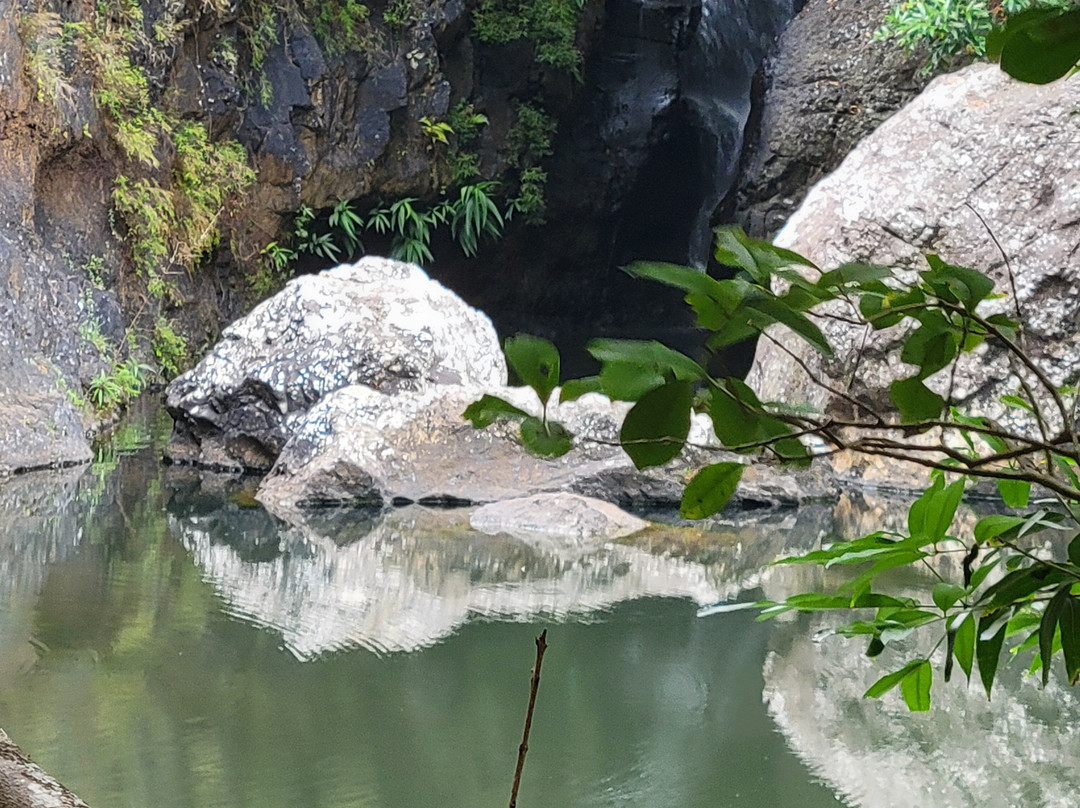 Yanature-黑河必去景点