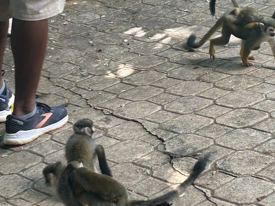 Runners Adventures-Las Galeras必去景点