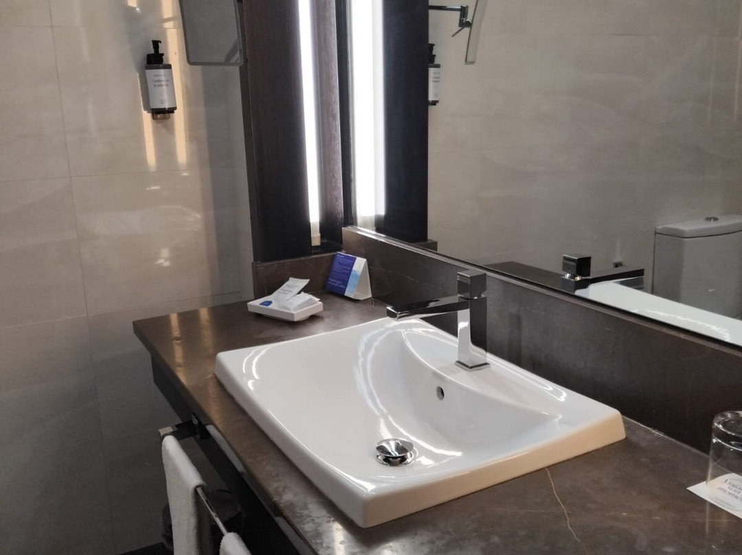 马西亚阿尔罕布拉皇宫酒店主图