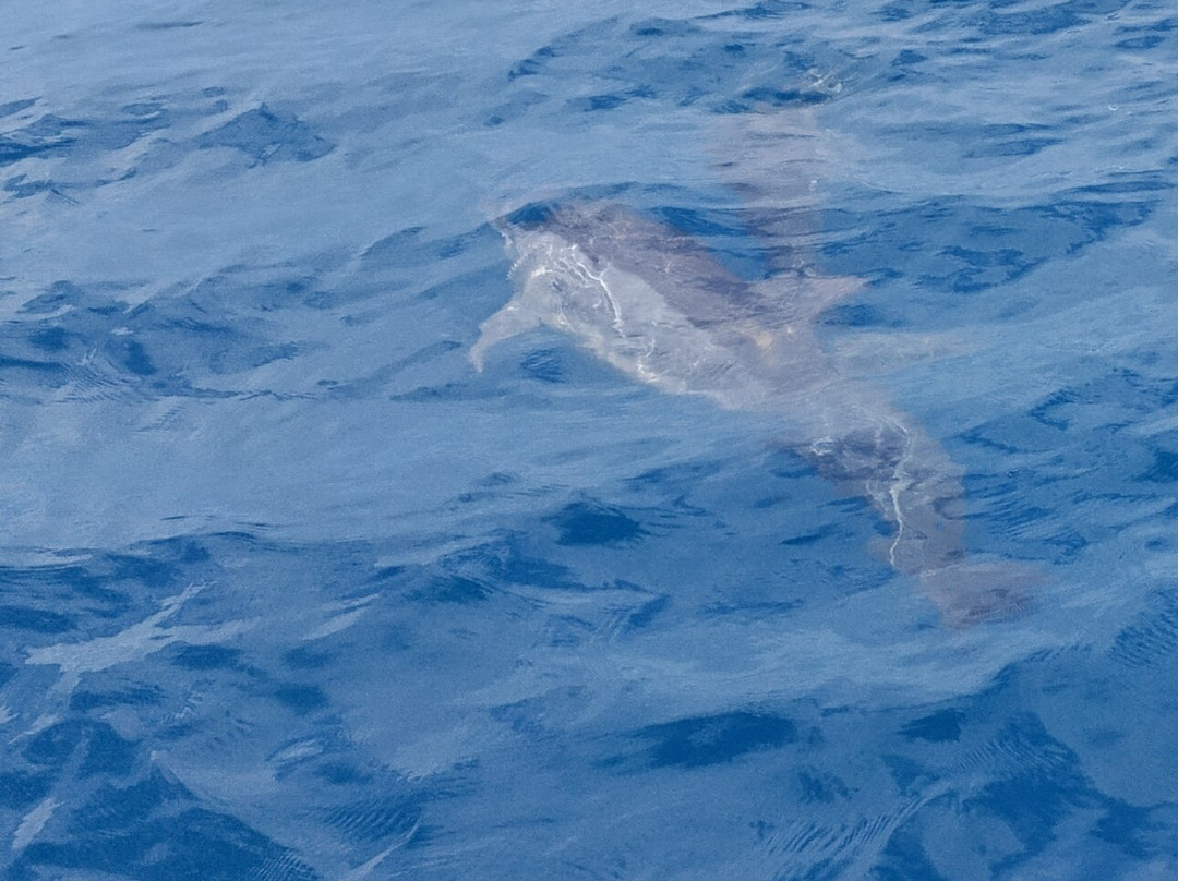 波拉波拉环礁水上之旅-瓦伊塔佩必去景点