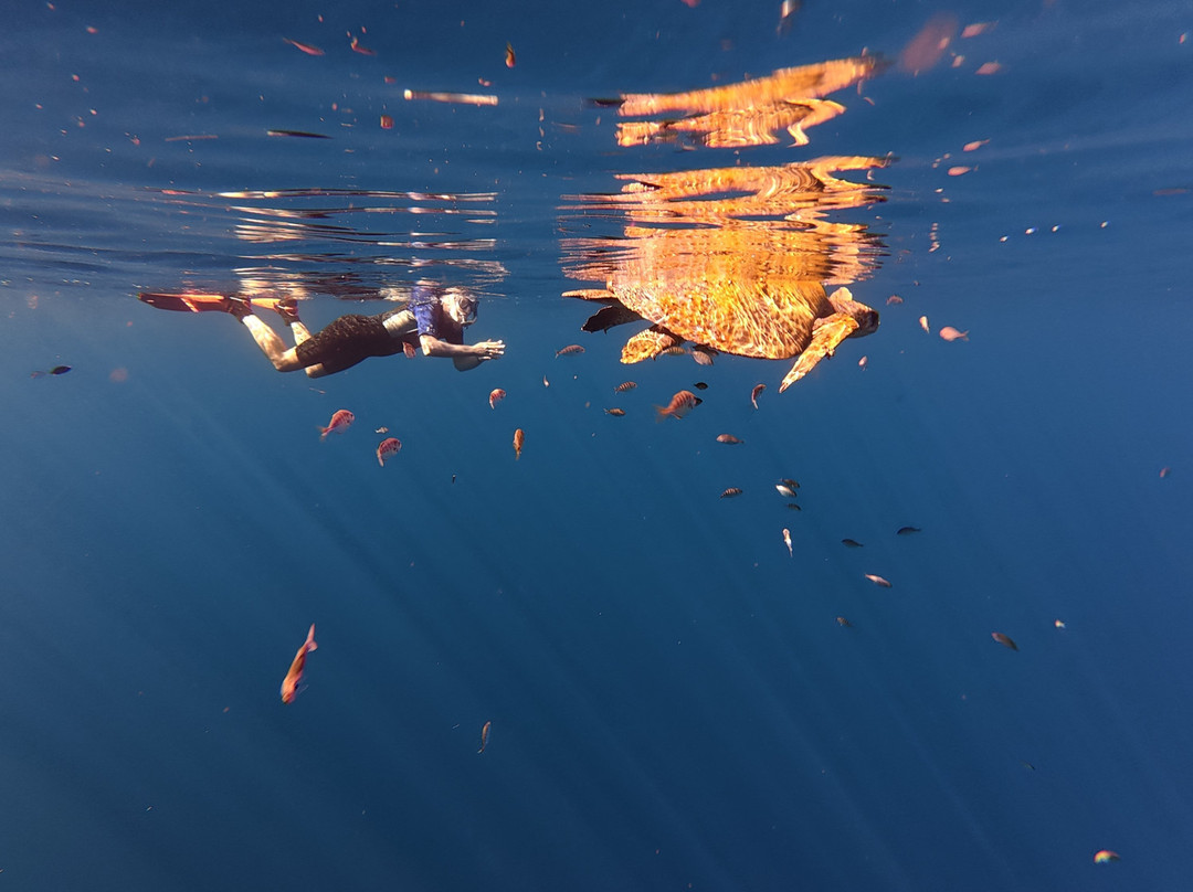 Baja Wild Encounters-La Ventana必去景点