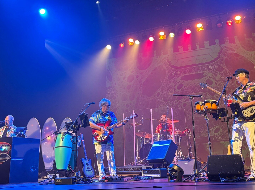 The ACT Arts Centre-枫树岭必去景点