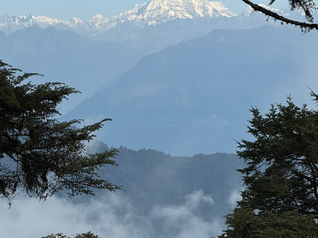 Mahlatini Luxury Travel-Rondebosch必去景点